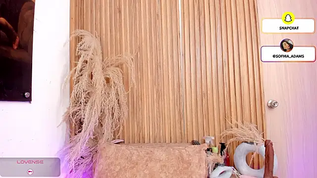 sofhiaa adaams online show from February 2026 10:43:01 PM