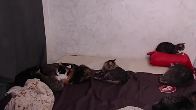 Olivia Winston online show from February 2026 03:18:01 PM