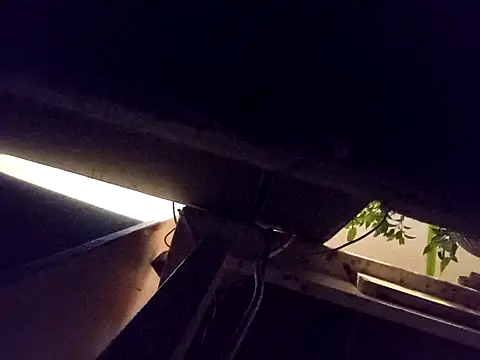 Daminou28 online show from October 2025 11:16:01 PM