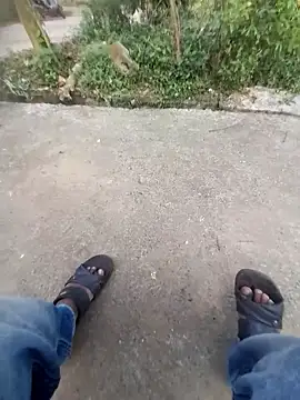 ind hero online show from October 2025 10:16:02 AM