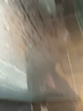 LivingLegend1978 online show from February 2026 08:46:02 AM