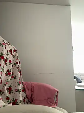 Snapshot of pamell_col chatting on November 2025 04:08:02 PM pamell col online show from November 2025 04:08:02 PM