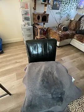 fatfabulous1981 online show from January 2025 10:02:01 PM