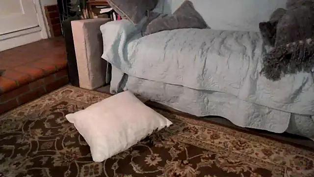 Dark Asteroid online show from February 2026 12:38:02 PM