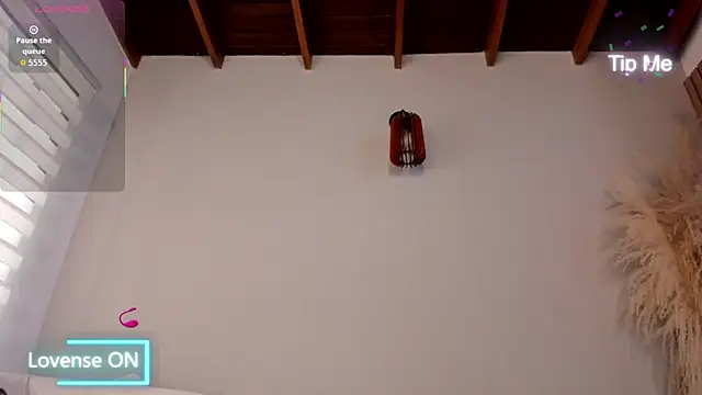 neo dimou  online show from November 2025 11:31:01 AM