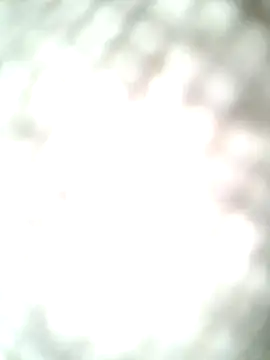 molozeb online show from October 2025 11:42:02 AM