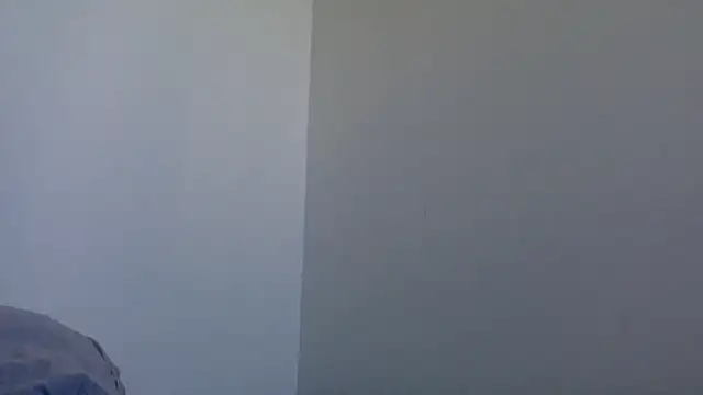 molozeb online show from February 2026 08:40:02 AM