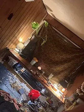 SexToyOnely online show from February 2026 08:56:02 PM