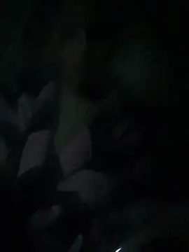 ChantalXOrchid online show from April 2026 10:51:01 PM