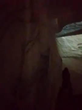 denca28 online show from March 2026 04:07:02 AM