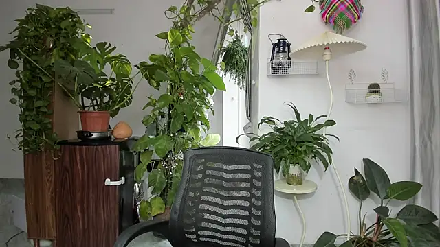 Oliver Nl online show from November 2025 05:24:01 AM