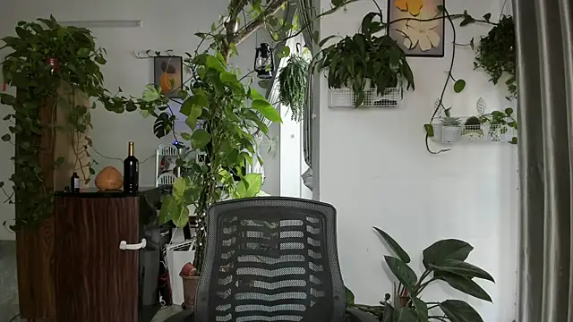 Oliver Nl online show from January 2026 04:48:02 AM