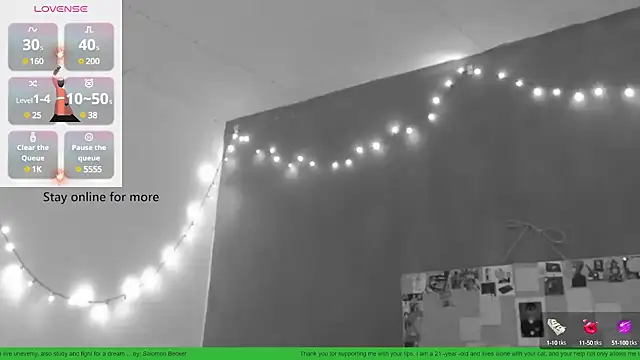 Snapshot of thesalomonshow888 chatting on February 2025 11:31:02 AM thesalomonshow888 online show from February 2025 11:31:02 AM