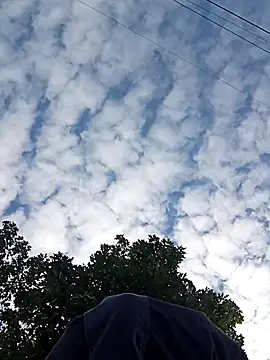 perversalus online show from October 2025 09:16:01 AM