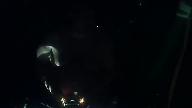 perversalus online show from March 2026 05:08:01 PM