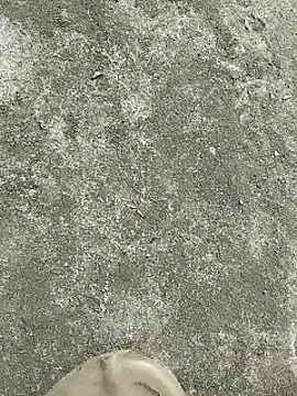 rana cute online show from December 2024 07:22:02 AM