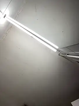 tamarabigass1 online show from October 2025 06:12:01 AM