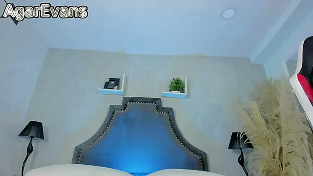 Snapshot of AgarEvans chatting on July 2026 04:38:01 AM AgarEvans online show from July 2026 04:38:01 AM
