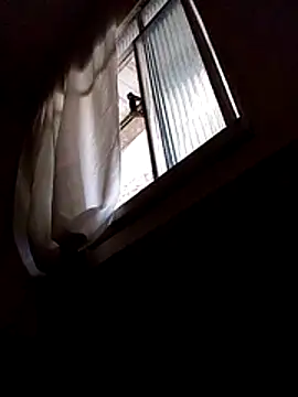 mario pedro online show from February 2026 04:33:01 PM