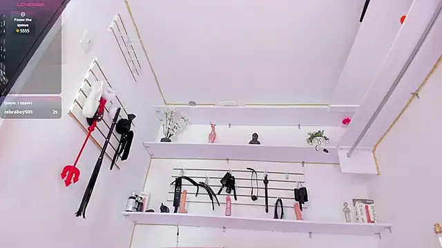 Alejandra Dunn online show from January 2025 11:45:01 PM