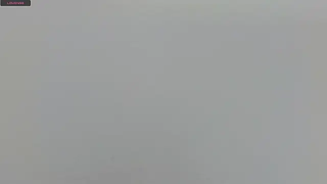 Alejandra Dunn online show from March 2025 02:34:01 PM