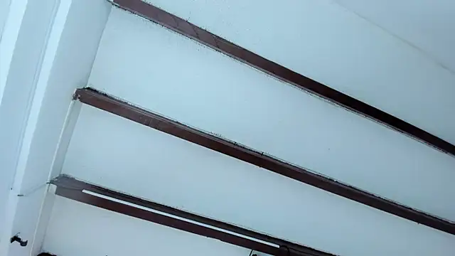 Oriana Guzman online show from January 2025 11:01:02 AM