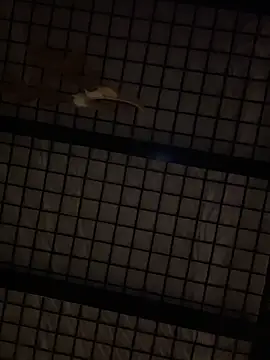 Snapshot of SexyB214 chatting on December 2024 12:44:02 PM SexyB214 online show from December 2024 12:44:02 PM