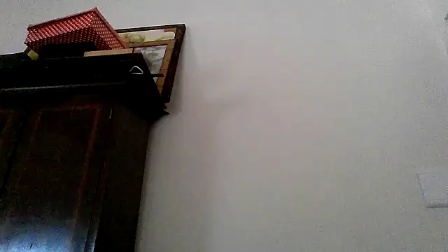 Dat1994 online show from February 2025 11:32:02 AM