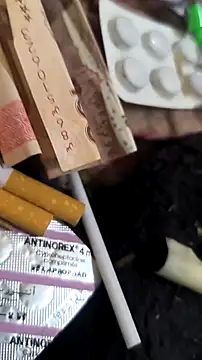 trans511 online show from April 2026 08:57:01 PM