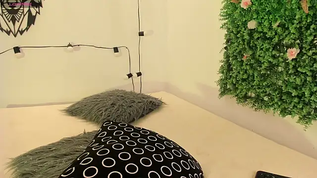 Tomy Rox online show from March 2025 11:00:02 AM