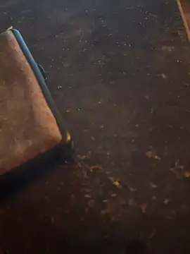 FreshWonder0 online show from November 2025 05:19:01 PM