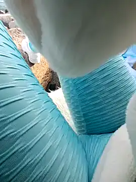 Snapshot of SexyErola27 chatting on January 2025 03:13:02 PM SexyErola27 online show from January 2025 03:13:02 PM