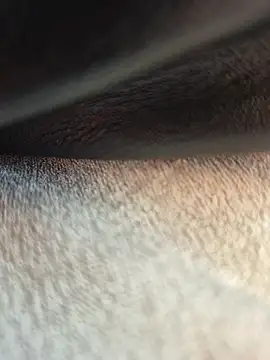 Snapshot of SexyErola27 chatting on November 2025 09:52:02 AM SexyErola27 online show from November 2025 09:52:02 AM