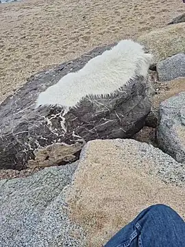 SexyErola27 online show from December 2025 01:29:02 PM