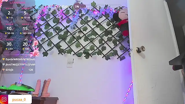 Snapshot of Pucaa_ chatting on December 2024 04:53:02 AM Pucaa online show from December 2024 04:53:02 AM