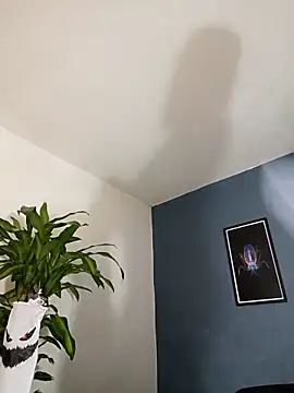 SilvaBranko online show from November 2025 10:09:02 PM