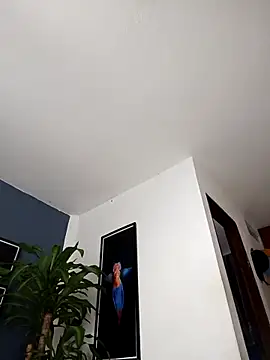 SilvaBranko online show from December 2025 02:07:02 AM