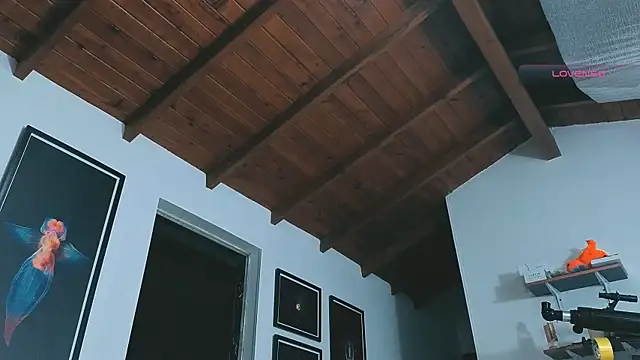 SilvaBranko online show from March 2026 12:06:01 AM