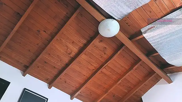 SilvaBranko online show from March 2026 08:03:02 PM