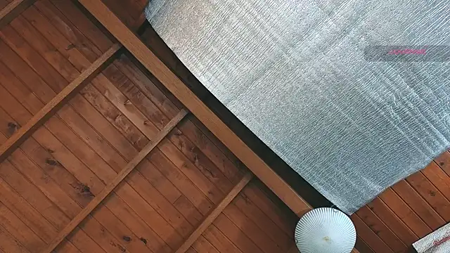 SilvaBranko online show from March 2026 09:03:02 PM