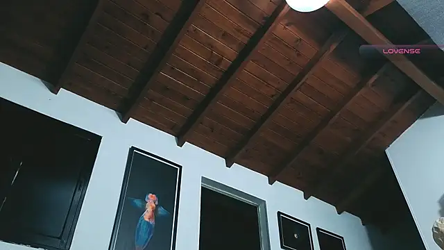 SilvaBranko online show from April 2026 01:11:02 AM