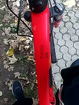 maleesa online show from October 2025 05:16:02 AM