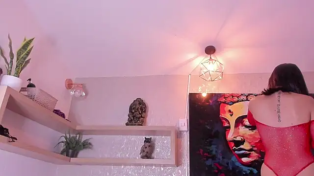 Natt collins online show from December 2025 02:29:01 AM