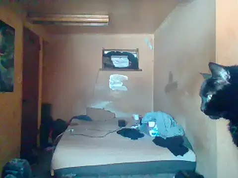 Nightshade7712 online show from February 2025 05:55:02 PM