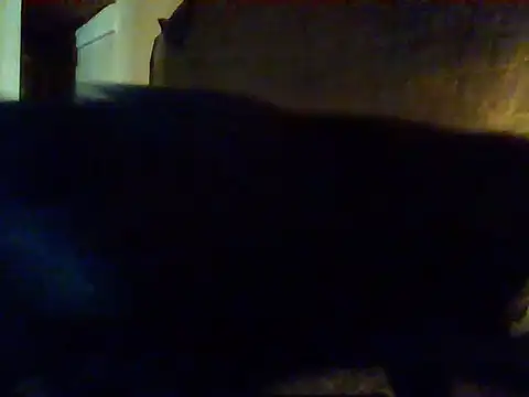 Nightshade7712 online show from September 2025 09:38:01 PM