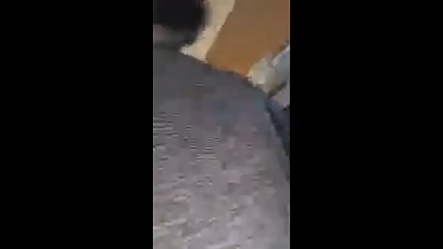 Armyexhibitionistvet online show from October 2025 08:15:02 AM