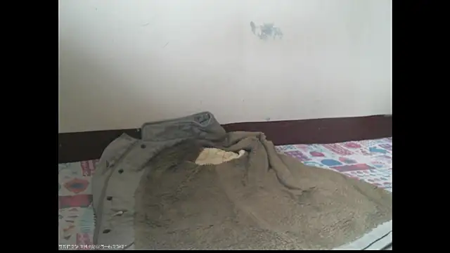triangle0623 online show from December 2025 05:47:01 AM
