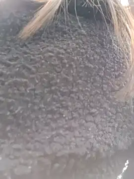 Violeta 12- online show from March 2025 07:31:01 PM