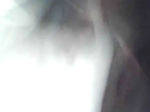 technodotado online show from April 2026 02:13:01 AM