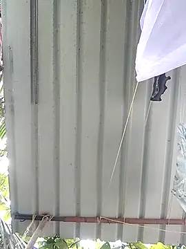 Mafiya1604 online show from September 2025 04:17:02 AM